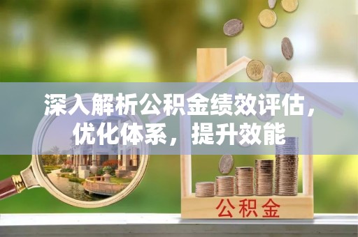 磐安深入解析公积金绩效评估，优化体系，提升效能