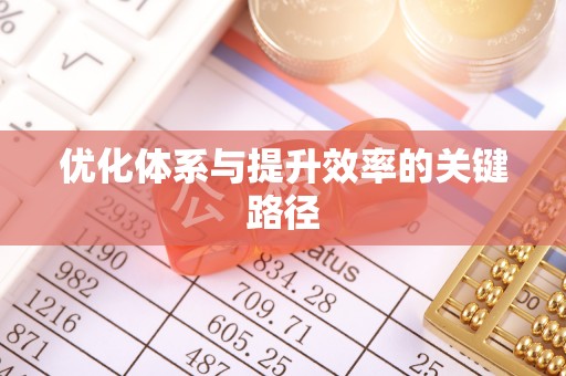 磐安优化体系与提升效率的关键路径