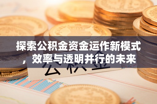 磐安探索公积金资金运作新模式，效率与透明并行的未来