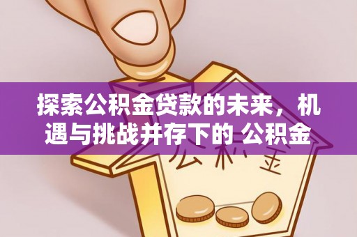 磐安探索公积金贷款的未来，机遇与挑战并存下的 公积金贷款风险防控