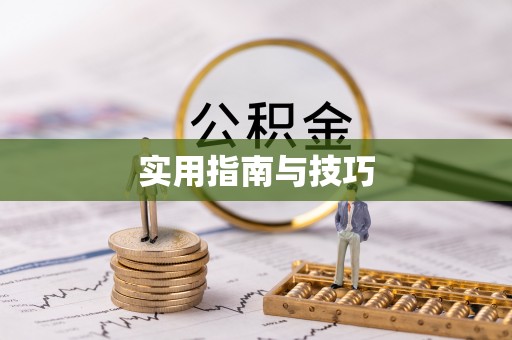 磐安实用指南与技巧
