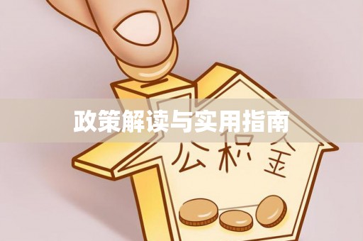 磐安政策解读与实用指南