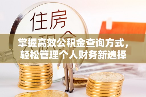 磐安掌握高效公积金查询方式，轻松管理个人财务新选择