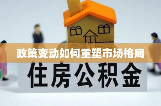 磐安政策变动如何重塑市场格局