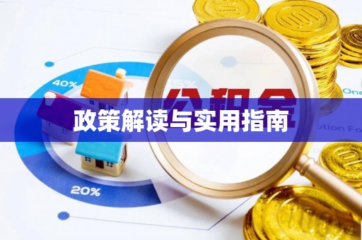 磐安政策解读与实用指南