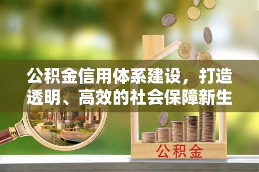 磐安公积金信用体系建设，打造透明、高效的社会保障新生态