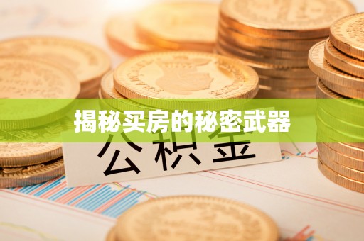 磐安揭秘买房的秘密武器