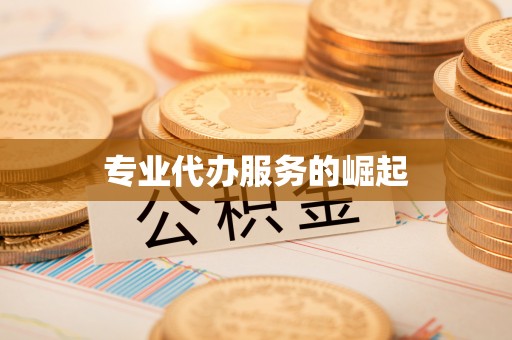 磐安专业代办服务的崛起