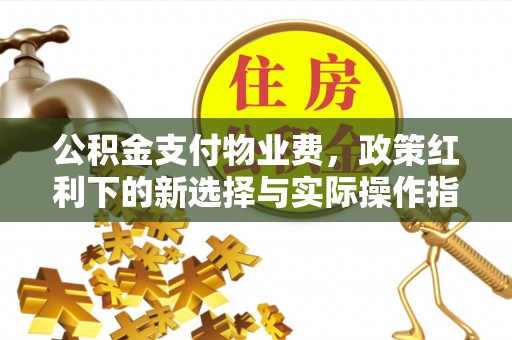 磐安公积金支付物业费，政策红利下的新选择与实际操作指南