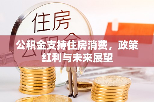 磐安公积金支持住房消费，政策红利与未来展望
