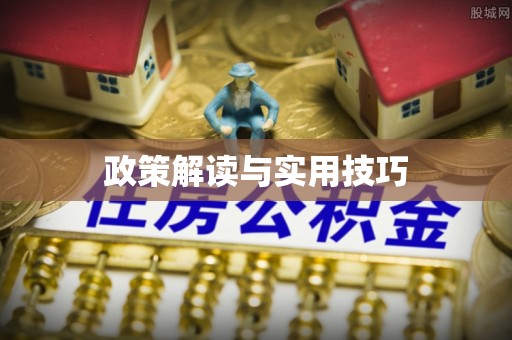 磐安政策解读与实用技巧