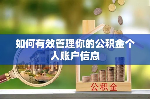 磐安如何有效管理你的公积金个人账户信息