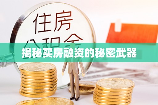 磐安揭秘买房融资的秘密武器