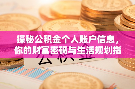 磐安探秘公积金个人账户信息，你的财富密码与生活规划指南