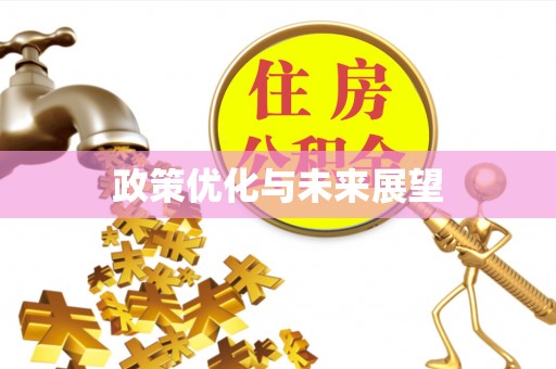 磐安政策优化与未来展望