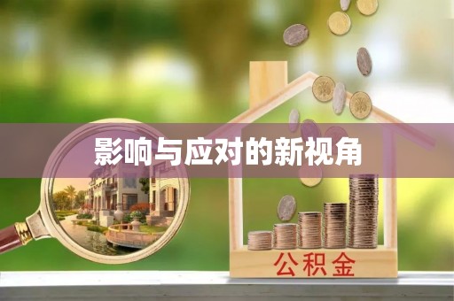 磐安影响与应对的新视角