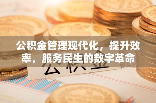 磐安公积金管理现代化，提升效率，服务民生的数字革命