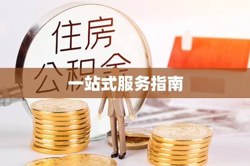 磐安一站式服务指南
