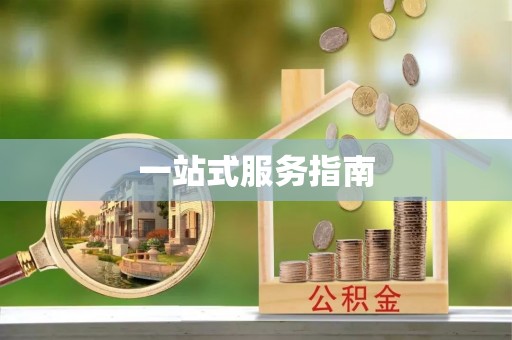 磐安一站式服务指南