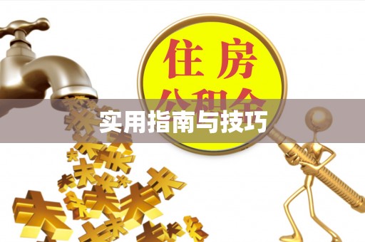 磐安实用指南与技巧