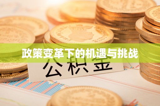 磐安政策变革下的机遇与挑战