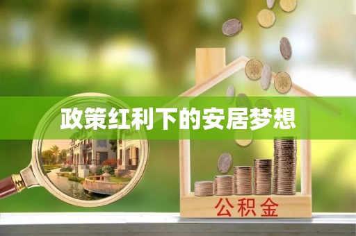 磐安政策红利下的安居梦想