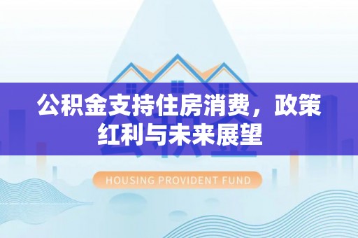 磐安公积金支持住房消费，政策红利与未来展望