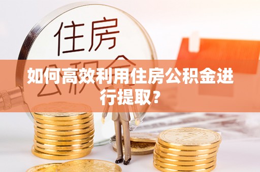 磐安如何高效利用住房公积金进行提取？