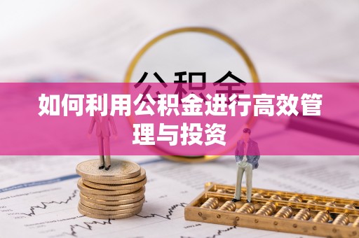 磐安如何利用公积金进行高效管理与投资