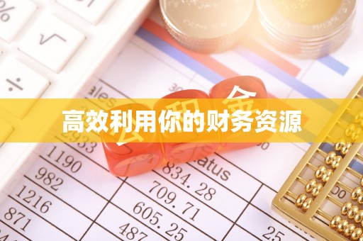 磐安高效利用你的财务资源