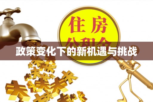 磐安政策变化下的新机遇与挑战