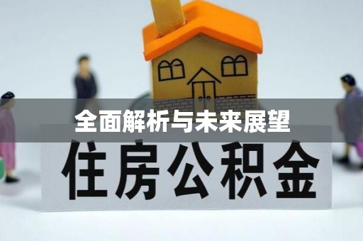 磐安全面解析与未来展望