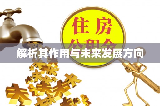 磐安解析其作用与未来发展方向