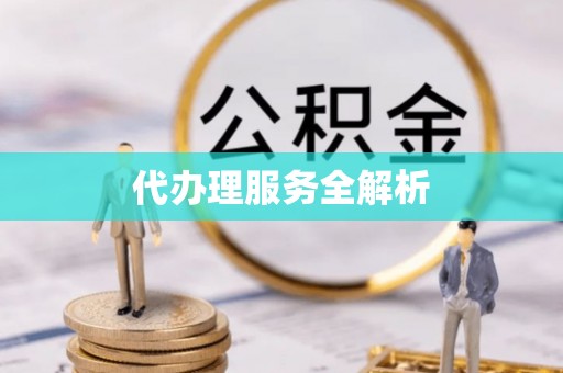 磐安代办理服务全解析