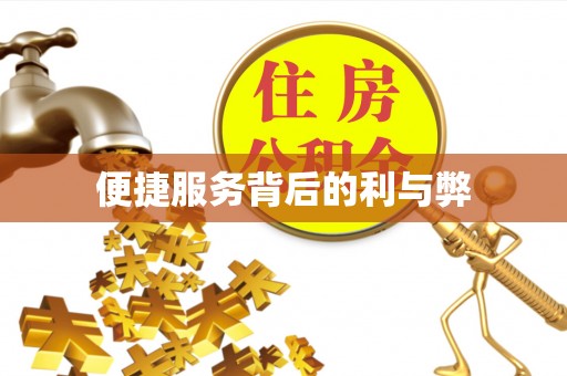 磐安便捷服务背后的利与弊