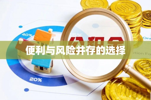 磐安便利与风险并存的选择