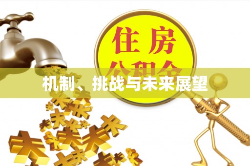 磐安机制、挑战与未来展望