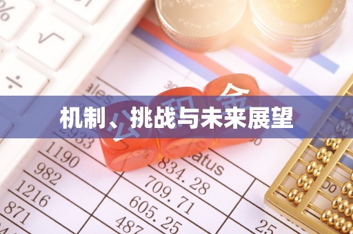 磐安机制、挑战与未来展望