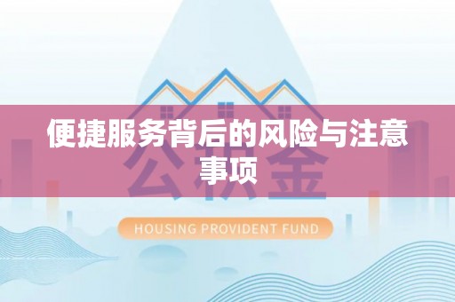 磐安便捷服务背后的风险与注意事项